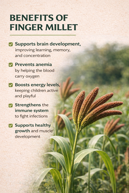 IRON BOOSTER FOR CHILDREN