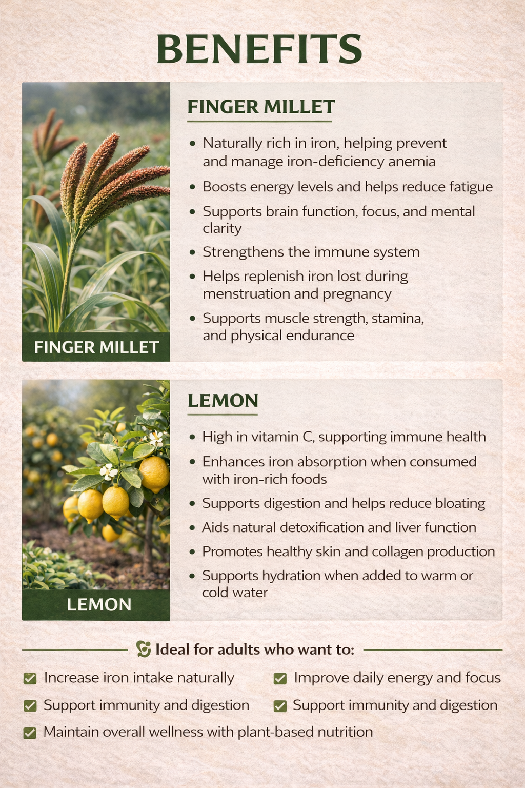 IRON BOOSTER FOR ADULTS